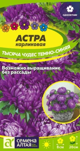 Тысяча чудес темно-синяя карл. Ц(Алт)