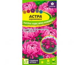 Тысяча чудес ярко-розовая Ц(Алт)