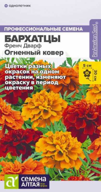 Френч Дварф Огненный ковер Ц(Алт)