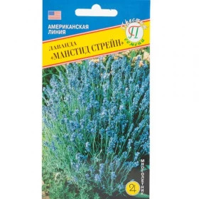 Манстид Стрейн Ц(П)