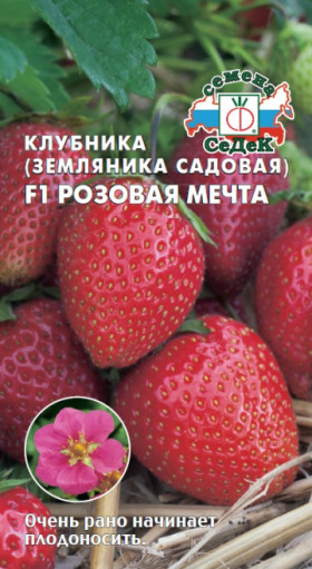 Розовая мечта Ц(С)