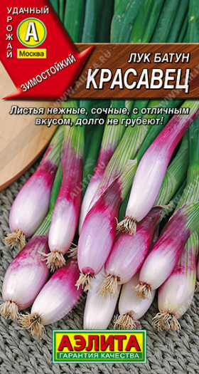 Батун Красавец Ц(А)