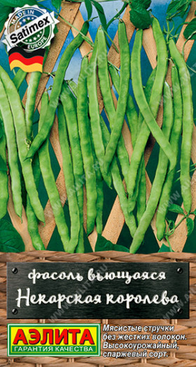 Некарская королева вьющаяся Ц(А)