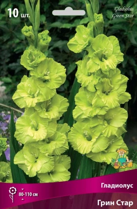 Грин Стар 10/12 10шт