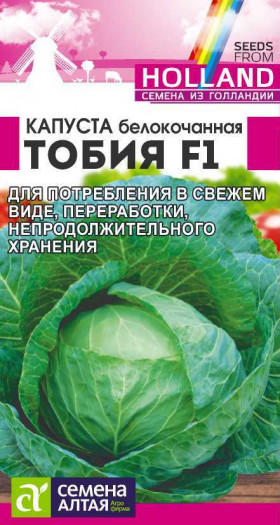 Тобия голлан. Ц(Алт)