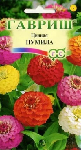 Пумила Ц(Г)