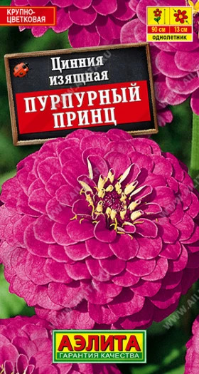 Пурпурный принц Ц(А)