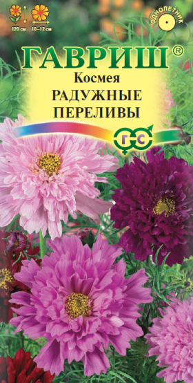 Радужные переливы махровая Ц(Г)