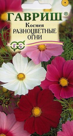 Разноцветные огни Ц(Г)