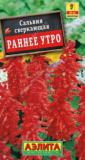Раннее утро Ц(А)