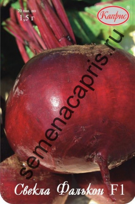Свекла Фалькон Каприс