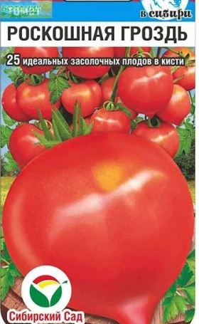 Роскошная гроздь СС