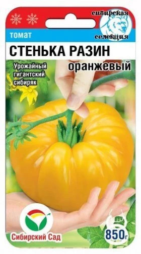 Стенька Разин оранжевый СС