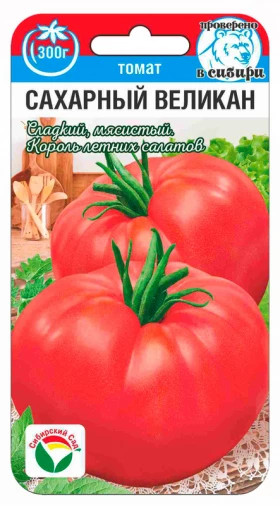 Сахарный великан СС