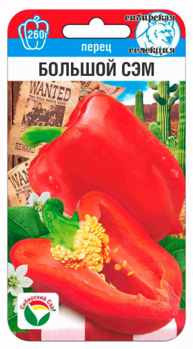 Большой Сэм СС