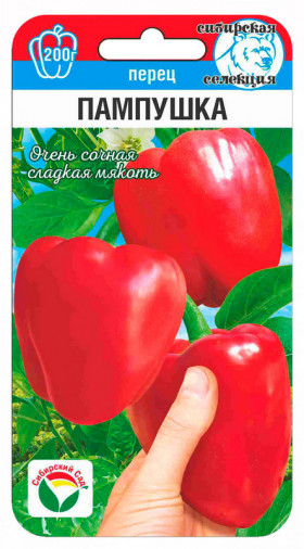 Пампушка СС