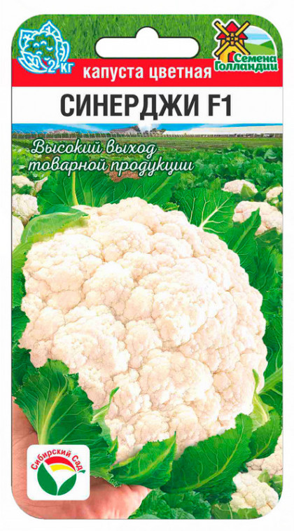 цветная Синерджи F1 10шт СС