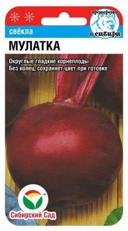Мулатка СС