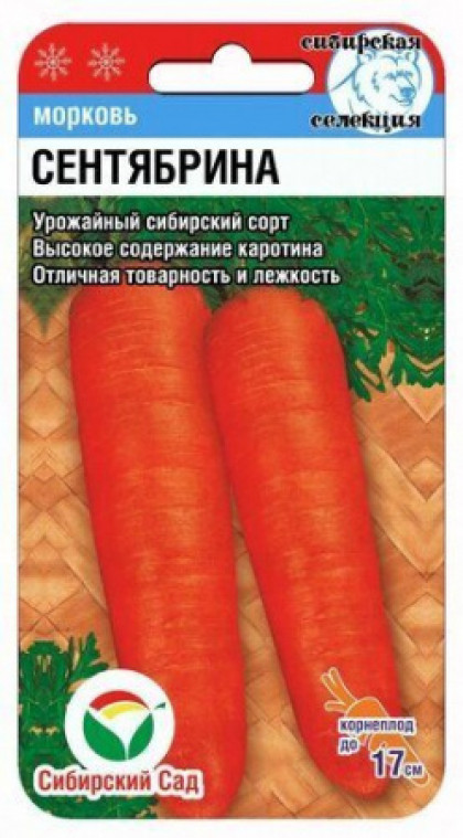 Сентябрина СС (Серия ЛС)