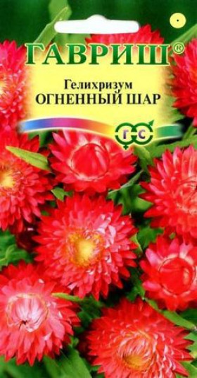 Огненный шар Ц(Г) (9939                     )