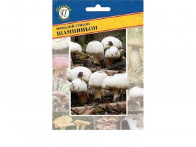 Шампиньон Белый Ц(П)