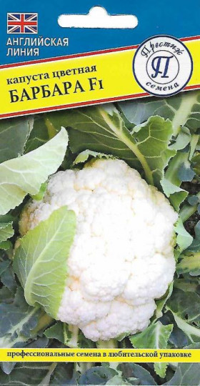 цветная Барбара Ц(П)