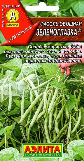 Зеленоглазка овощная Ц(А)