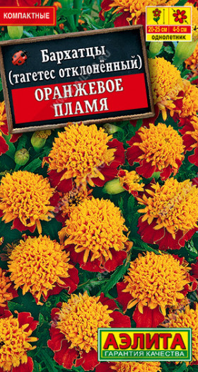 Оранжевое пламя Ц(А)