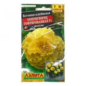 Америгибрид гофрированная желтая Ц(А)