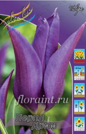 Перпл Дрим 10/11 (лил.) 8шт