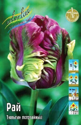 Рай 11/12 (попуг.) 7шт