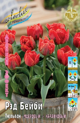 Рэд Бейби 10/11 (2й эффект) 8шт