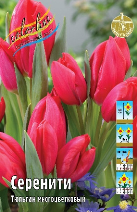 Серенити 11/12 (мнгцв.) 7шт