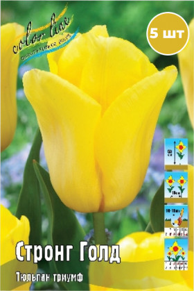 Стронг Голд 10/11 (триумф) 5шт
