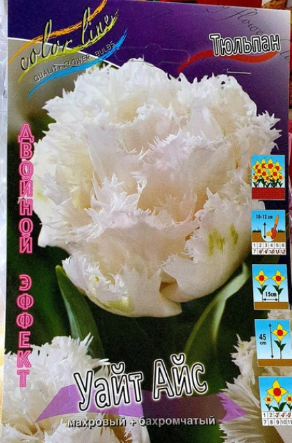 Уайт Айс 11/12 (2й эффект) 7шт
