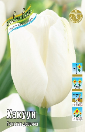 Хакуун 10/11 (дарв.) 8шт