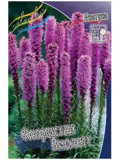 Флористан Виолетт 10/12, 5шт
