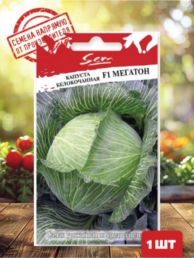 Мегатон Ц(Н)