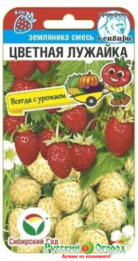 Цветная лужайка смесь 10шт СС