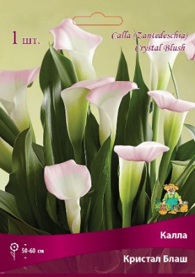 Кристал Блаш 2шт Поиск