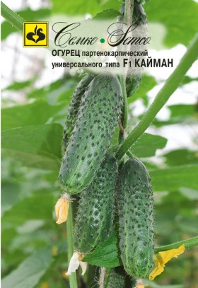 Кайман Семко