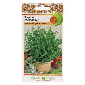 Грибовский Ц(Н)