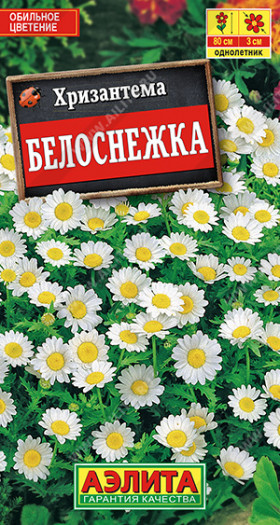 Белоснежка Ц(А) хризантема