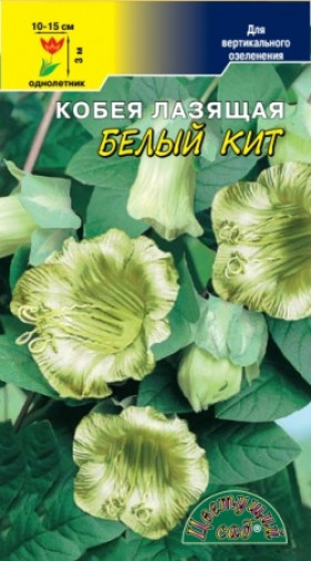 Белый кит/Цветущий сад