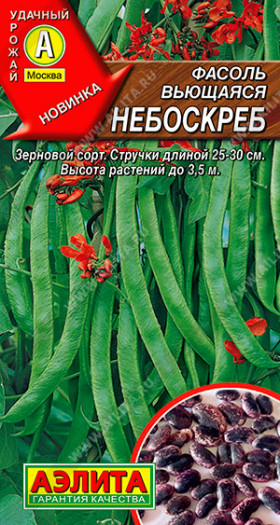 Небоскреб вьющаяся Ц(А)