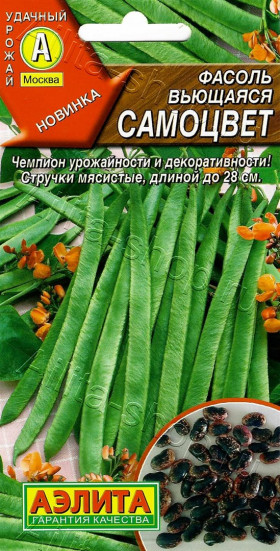 Самоцвет вьющаяся Ц(А)