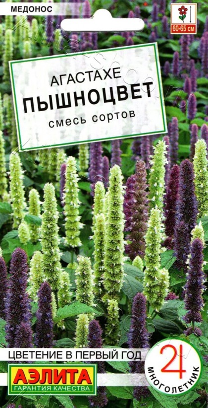 Пышноцвет Ц(А)