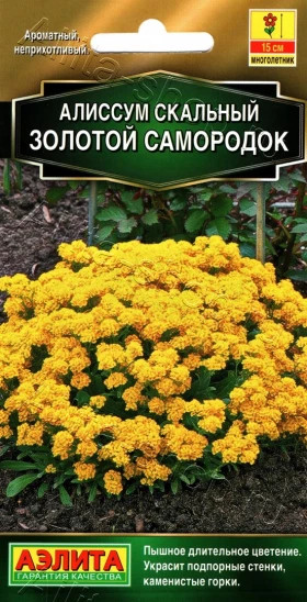 Золотой самородок Ц(А) ()