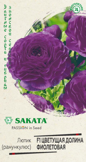 Цветущая долина фиолетовая Ц(Г)