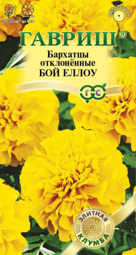 Бой Еллоу Ц(Г)